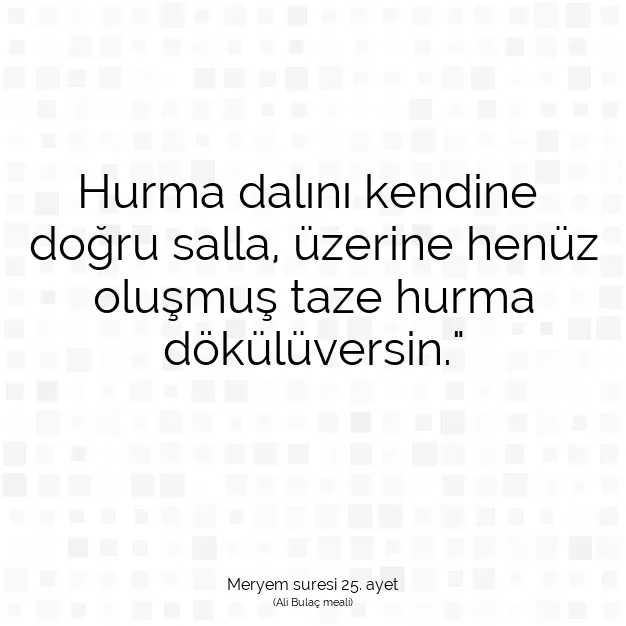 Ayetbul | Kuran Mealleri | Quran | Meryem suresi 25. ayet