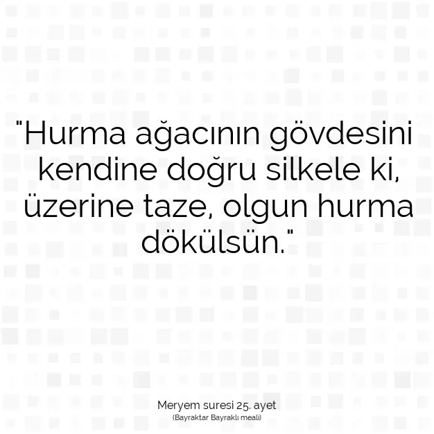 Ayetbul | Kuran Mealleri | Quran | Meryem suresi 25. ayet