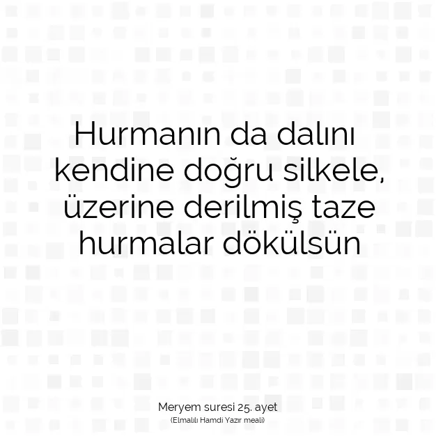 Ayetbul | Kuran Mealleri | Quran | Meryem suresi 25. ayet