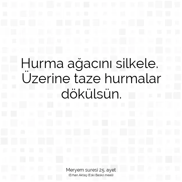 Ayetbul | Kuran Mealleri | Quran | Meryem suresi 25. ayet