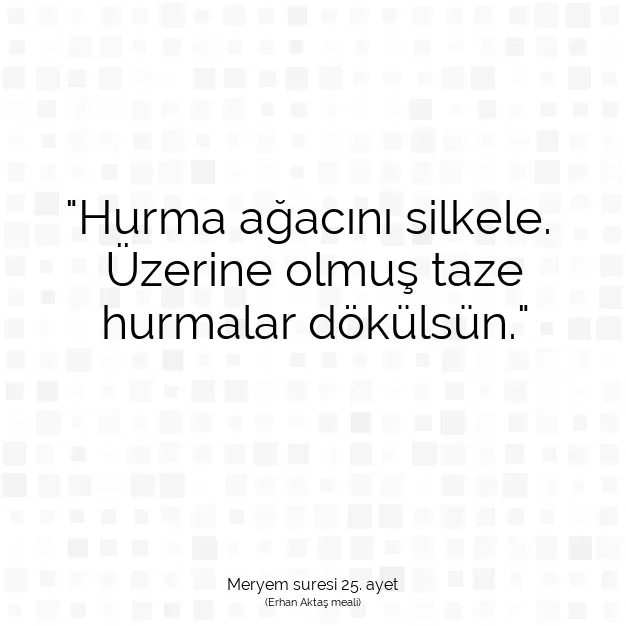 Ayetbul | Kuran Mealleri | Quran | Meryem suresi 25. ayet