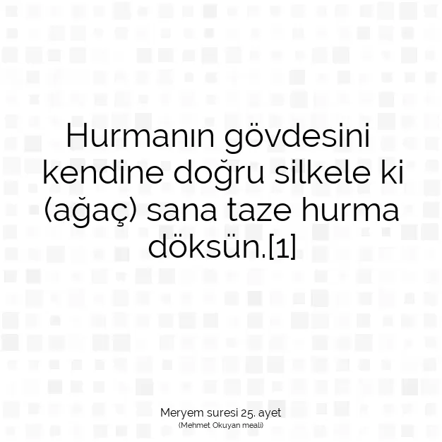 Ayetbul | Kuran Mealleri | Quran | Meryem suresi 25. ayet