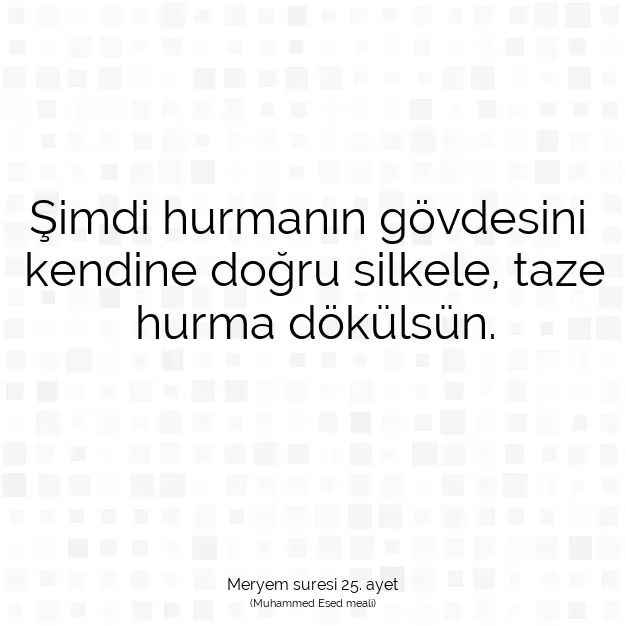 Ayetbul | Kuran Mealleri | Quran | Meryem suresi 25. ayet