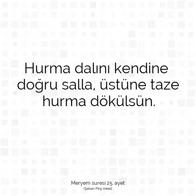 Ayetbul | Kuran Mealleri | Quran | Meryem suresi 25. ayet