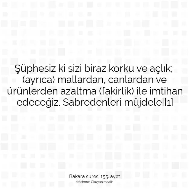 Ayetbul | Kuran Mealleri | Quran | Bakara suresi 155. ayet