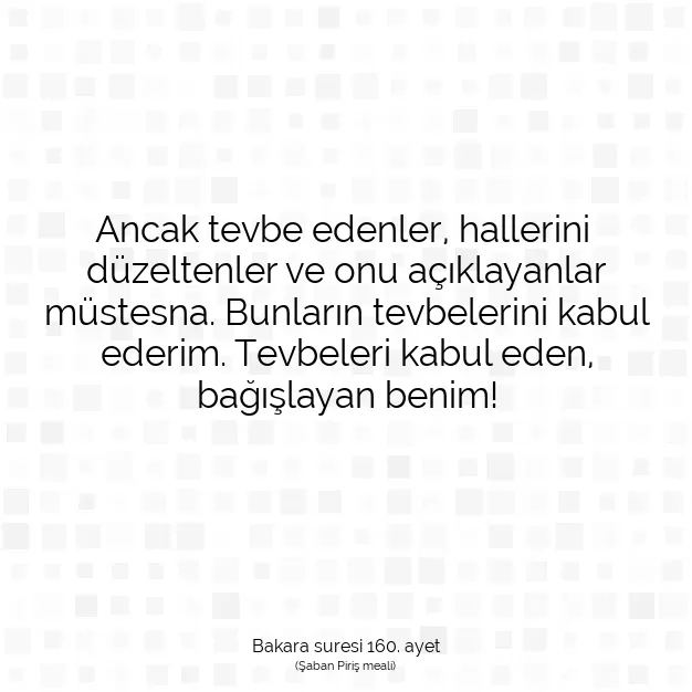 Ayetbul | Kuran Mealleri | Quran | Bakara suresi 160. ayet