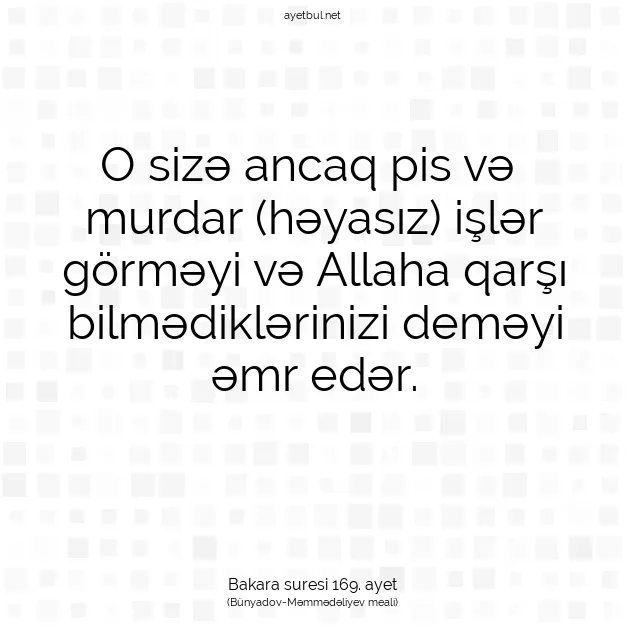 Ayetbul | Kuran Mealleri | Quran | Bakara suresi 169. ayet
