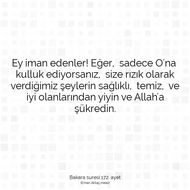 Ayetbul | Kuran Mealleri | Quran | Bakara suresi 172. ayet