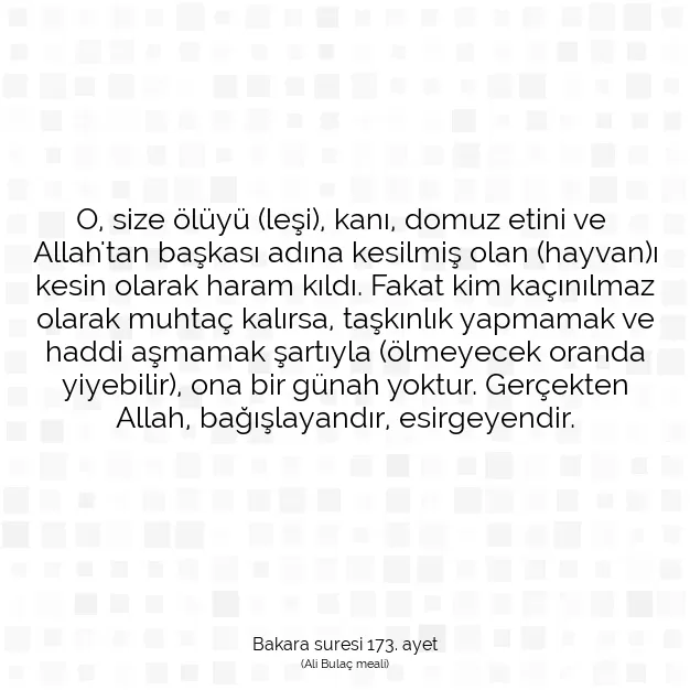 Ayetbul | Kuran Mealleri | Quran | Bakara suresi 173. ayet