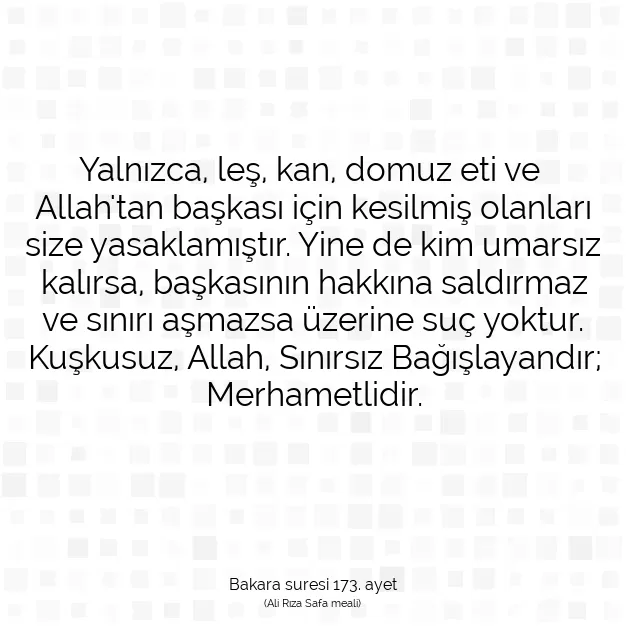 Ayetbul | Kuran Mealleri | Quran | Bakara suresi 173. ayet