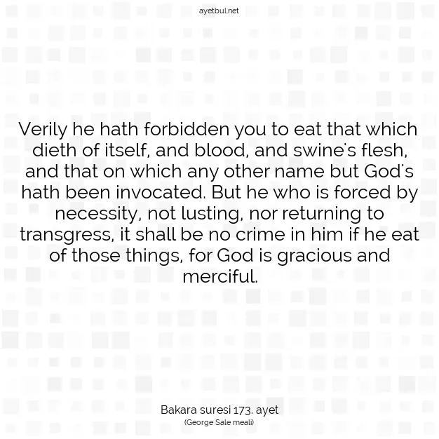 Ayetbul | Kuran Mealleri | Quran | Bakara suresi 173. ayet