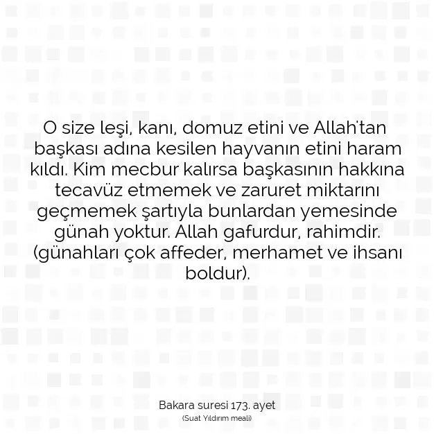 Ayetbul | Kuran Mealleri | Quran | Bakara suresi 173. ayet