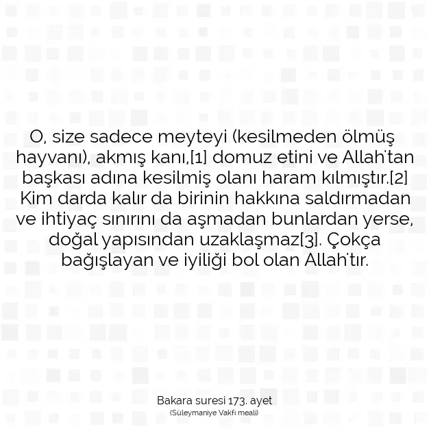 Ayetbul | Kuran Mealleri | Quran | Bakara suresi 173. ayet