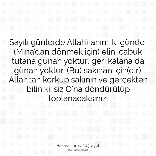 Ayetbul | Kuran Mealleri | Quran | Bakara suresi 203. ayet