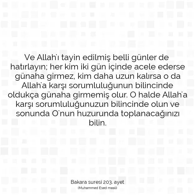 Ayetbul | Kuran Mealleri | Quran | Bakara suresi 203. ayet