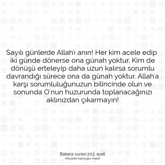 Ayetbul | Kuran Mealleri | Quran | Bakara suresi 203. ayet