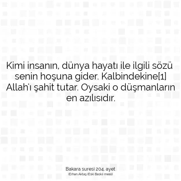 Ayetbul | Kuran Mealleri | Quran | Bakara suresi 204. ayet