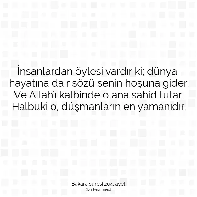 Ayetbul | Kuran Mealleri | Quran | Bakara suresi 204. ayet