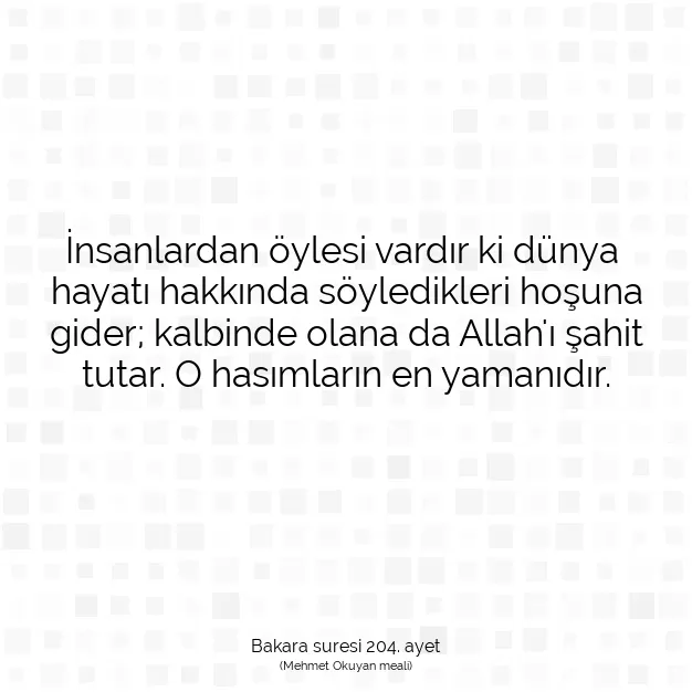 Ayetbul | Kuran Mealleri | Quran | Bakara suresi 204. ayet