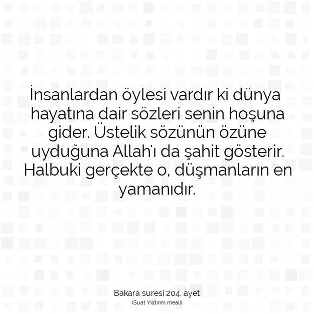 Ayetbul | Kuran Mealleri | Quran | Bakara suresi 204. ayet