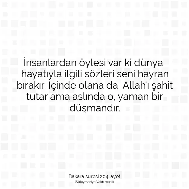 Ayetbul | Kuran Mealleri | Quran | Bakara suresi 204. ayet