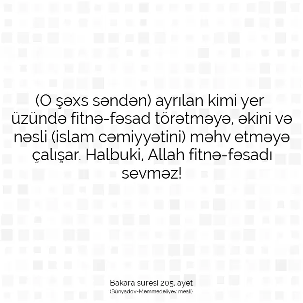 Ayetbul | Kuran Mealleri | Quran | Bakara suresi 205. ayet