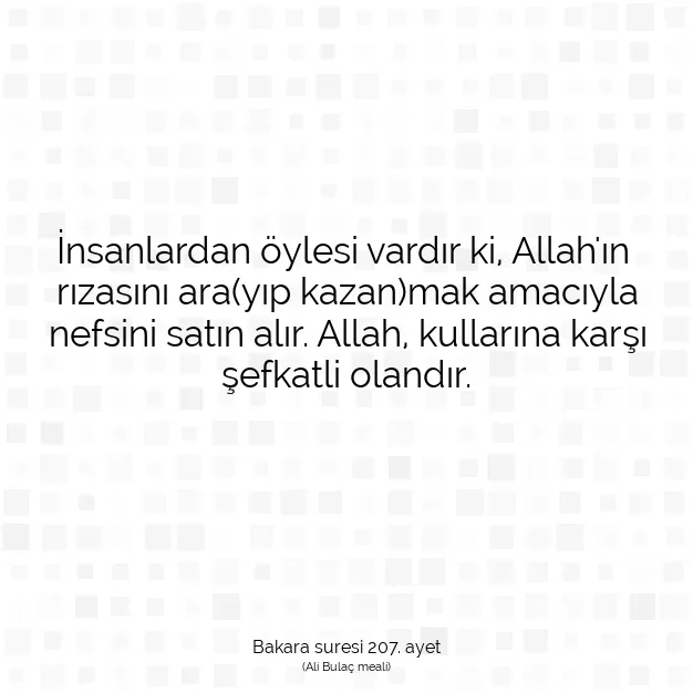 Ayetbul | Kuran Mealleri | Quran | Bakara suresi 207. ayet