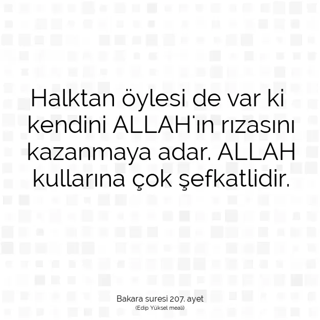 Ayetbul | Kuran Mealleri | Quran | Bakara suresi 207. ayet