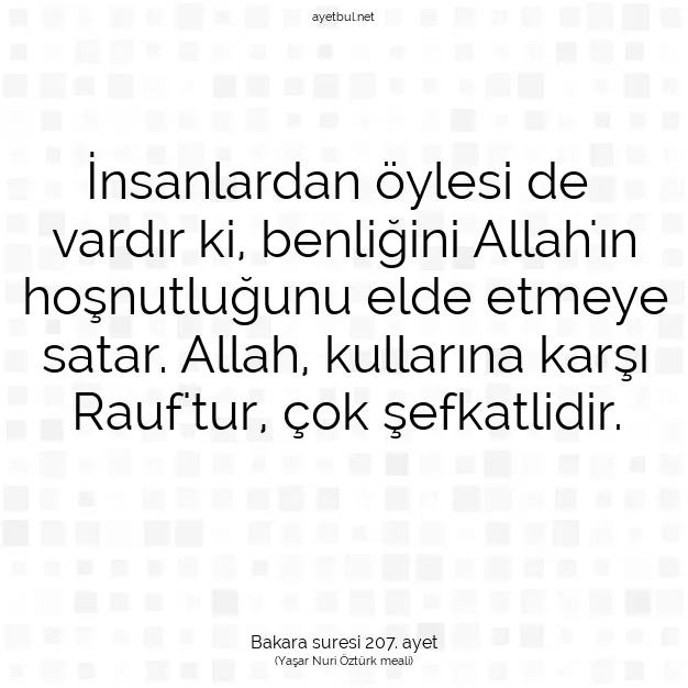 Ayetbul | Kuran Mealleri | Quran | Bakara suresi 207. ayet