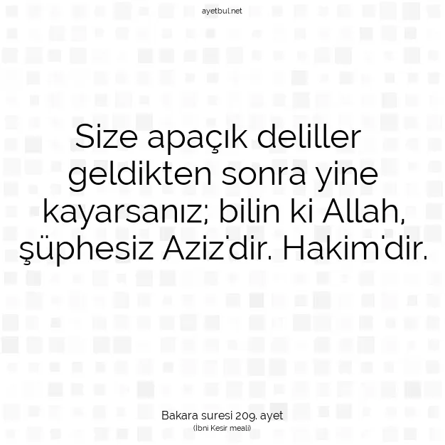 Ayetbul | Kuran Mealleri | Quran | Bakara suresi 209. ayet