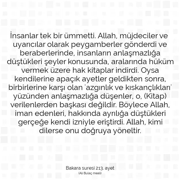 Ayetbul | Kuran Mealleri | Quran | Bakara suresi 213. ayet