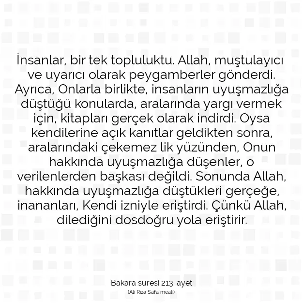 Ayetbul | Kuran Mealleri | Quran | Bakara suresi 213. ayet