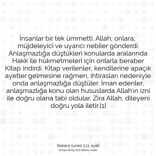 Ayetbul | Kuran Mealleri | Quran | Bakara suresi 213. ayet