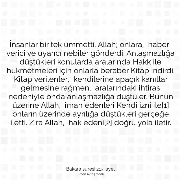 Ayetbul | Kuran Mealleri | Quran | Bakara suresi 213. ayet