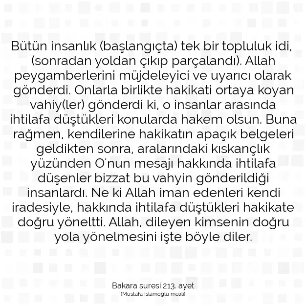 Ayetbul | Kuran Mealleri | Quran | Bakara suresi 213. ayet