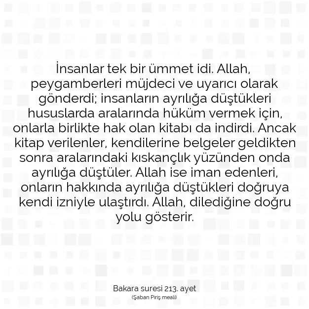 Ayetbul | Kuran Mealleri | Quran | Bakara suresi 213. ayet