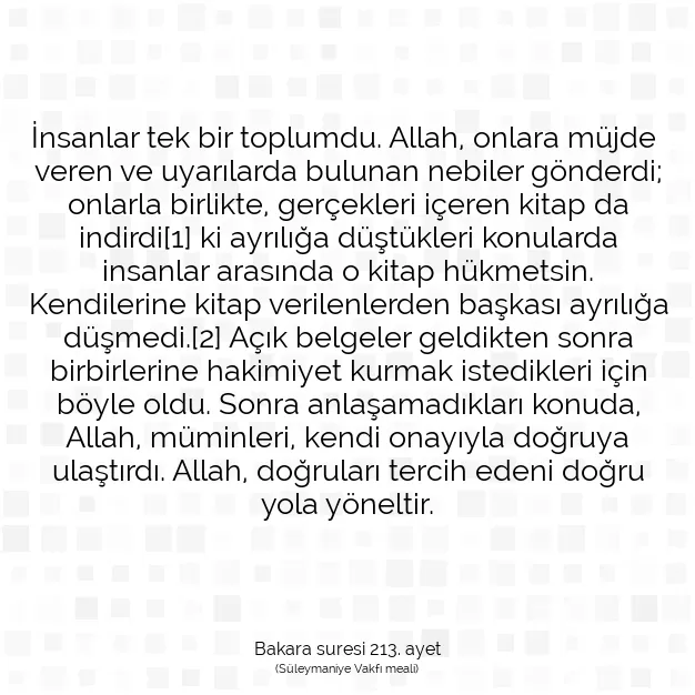 Ayetbul | Kuran Mealleri | Quran | Bakara suresi 213. ayet