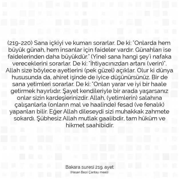 Ayetbul | Kuran Mealleri | Quran | Bakara suresi 219. ayet