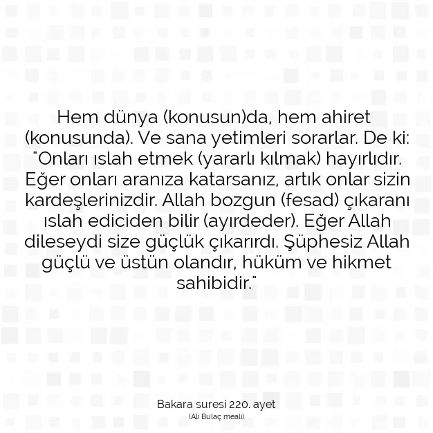 Ayetbul | Kuran Mealleri | Quran | Bakara suresi 220. ayet