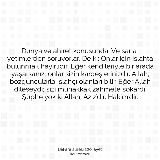 Ayetbul | Kuran Mealleri | Quran | Bakara suresi 220. ayet