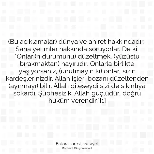 Ayetbul | Kuran Mealleri | Quran | Bakara suresi 220. ayet