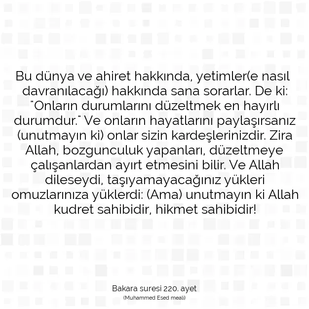 Ayetbul | Kuran Mealleri | Quran | Bakara suresi 220. ayet