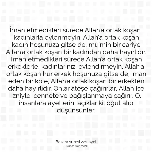 Ayetbul | Kuran Mealleri | Quran | Bakara suresi 221. ayet