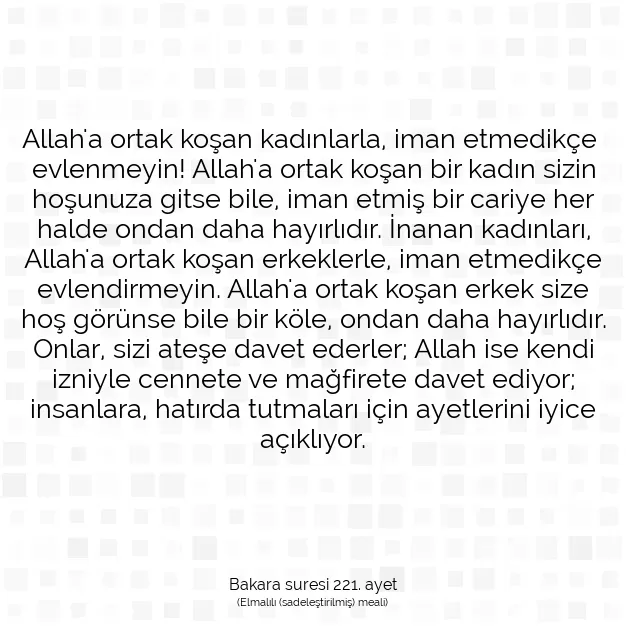 Ayetbul | Kuran Mealleri | Quran | Bakara suresi 221. ayet