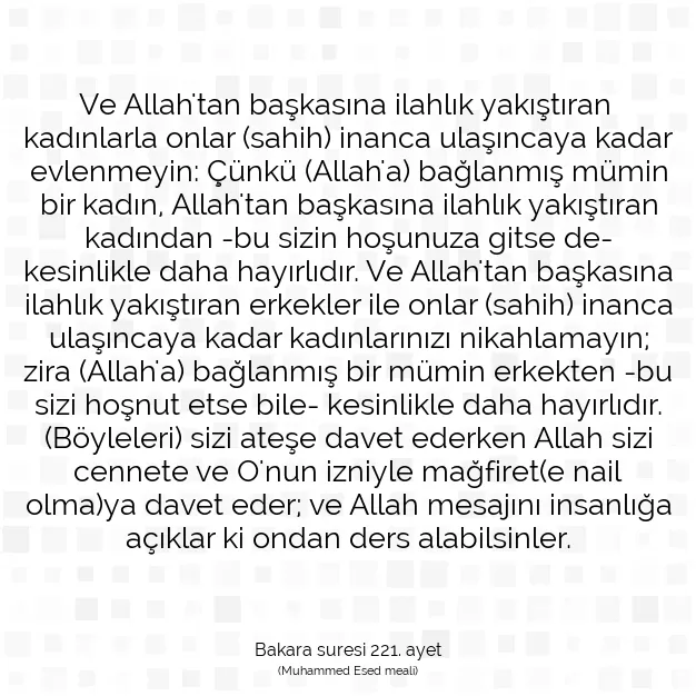 Ayetbul | Kuran Mealleri | Quran | Bakara suresi 221. ayet