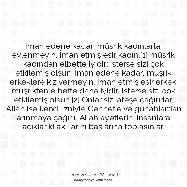 Ayetbul | Kuran Mealleri | Quran | Bakara suresi 221. ayet