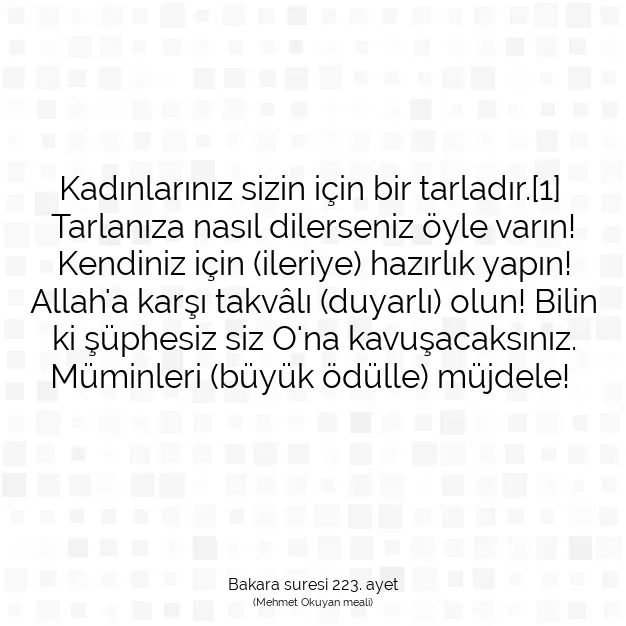 Ayetbul | Kuran Mealleri | Quran | Bakara suresi 223. ayet