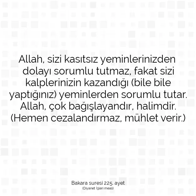 Ayetbul | Kuran Mealleri | Quran | Bakara suresi 225. ayet