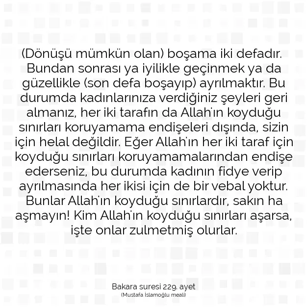 Ayetbul | Kuran Mealleri | Quran | Bakara suresi 229. ayet