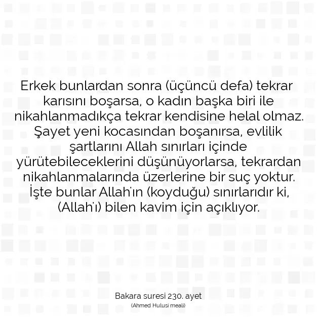 Ayetbul | Kuran Mealleri | Quran | Bakara suresi 230. ayet